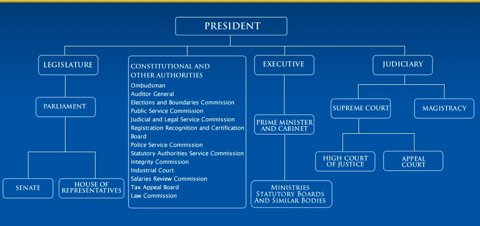 Organization of Local Government